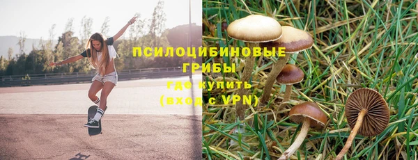 герыч Алексин