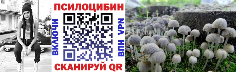 Псилоцибиновые грибы мицелий  Безенчук 